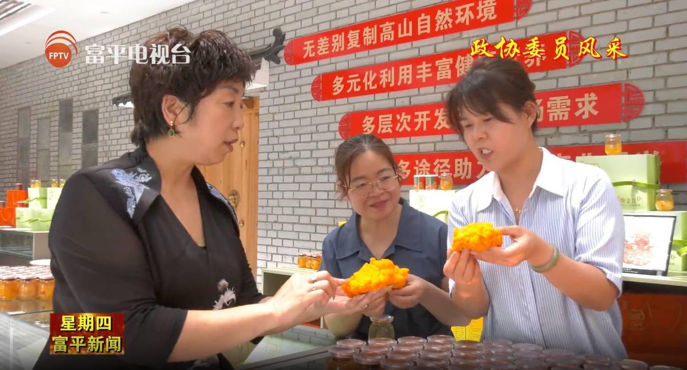 杨晓玲·真实行动现场 14